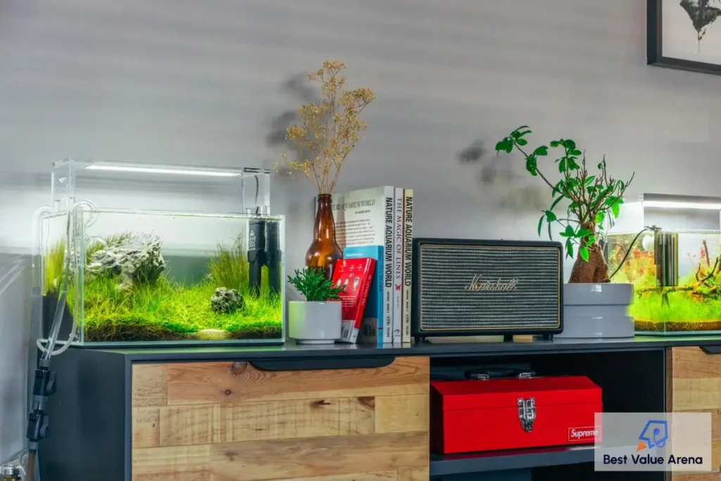 glass aqua aquarium