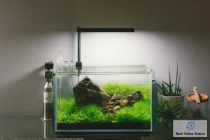 nano rimless aquarium