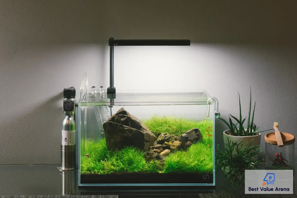 nano rimless aquarium