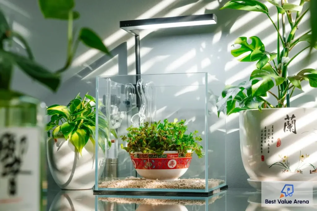glass aqua tanks