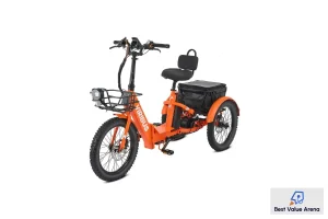viribus electric tricycle