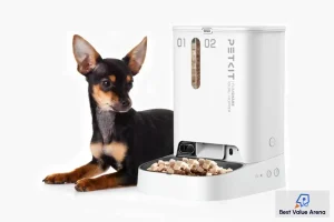 best smart pet feeder
