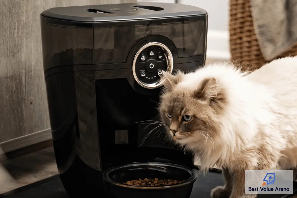 feeder robot whisker