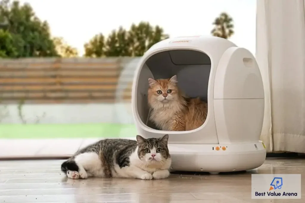 odor free litter box