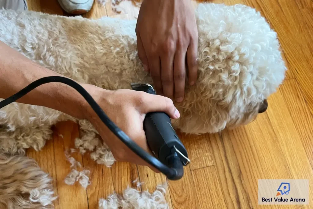 cordless dog clippers