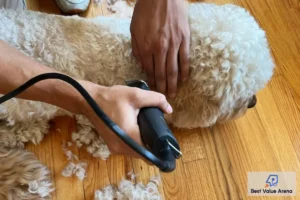 cordless dog clippers