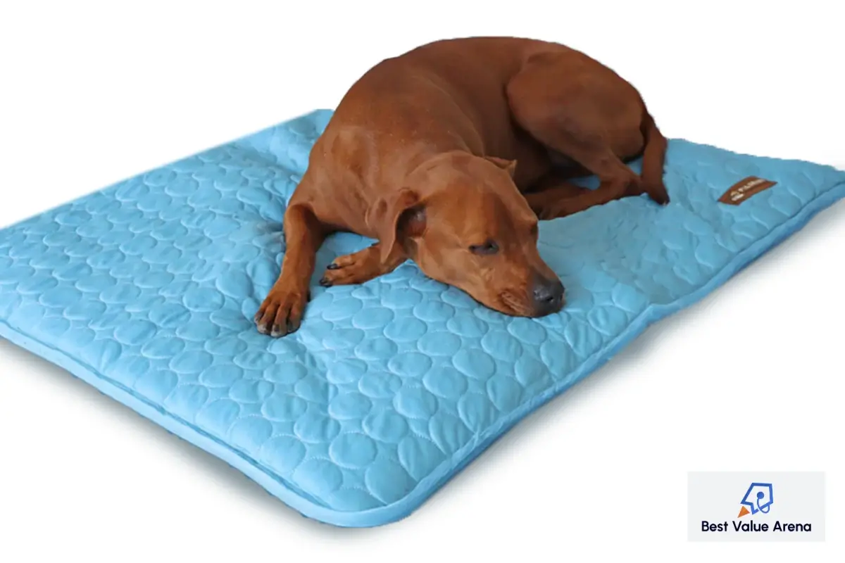 pelsbarn cooling mat for dogs