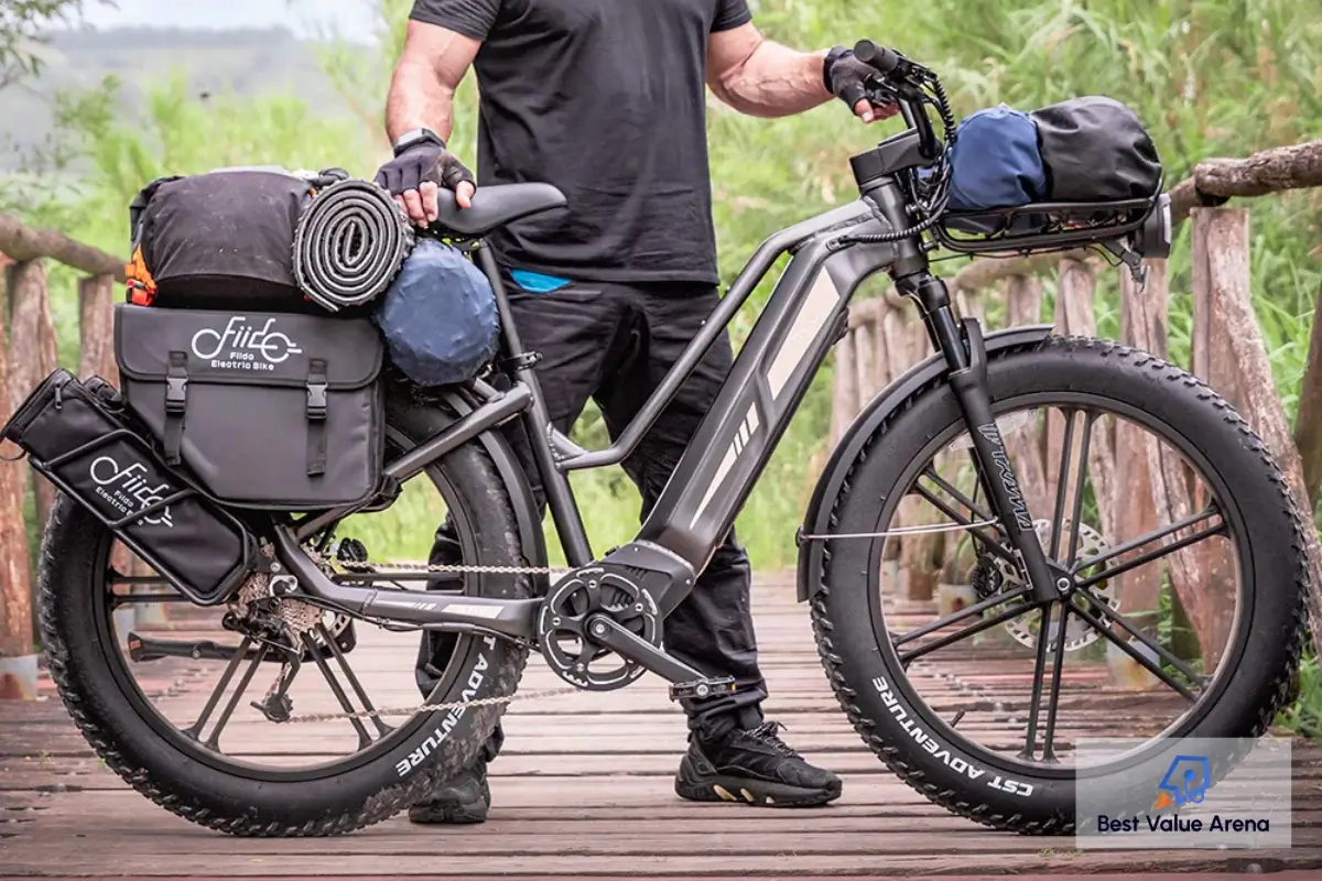 fiido titan electric bike