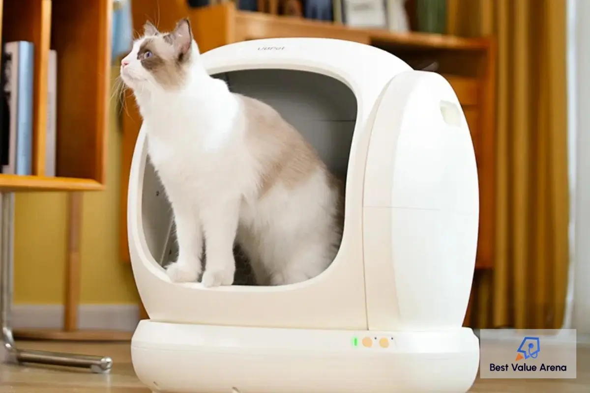 technological solutions in modern pet care services